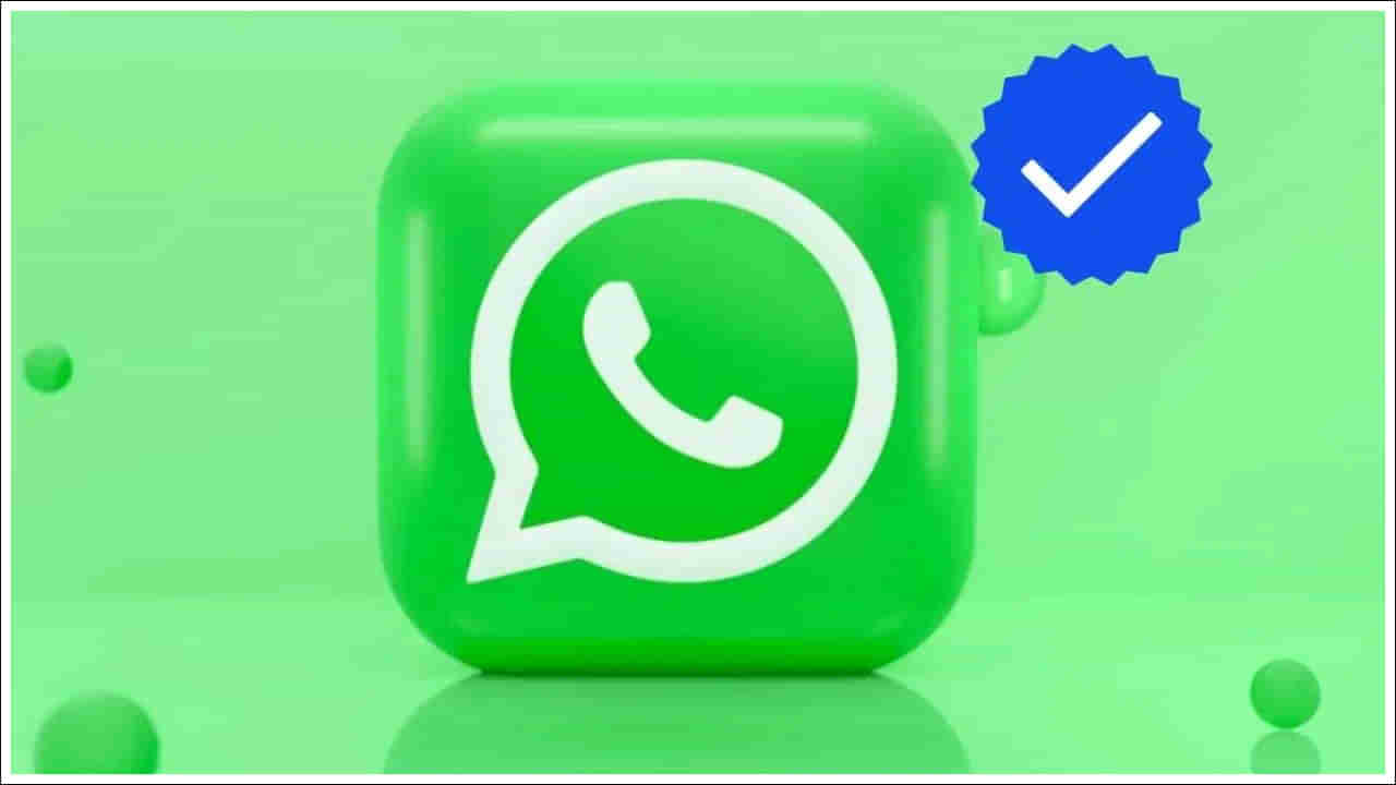 WhatsApp Blue Tick: వాట్సాప్‌లో బ్లూ టిక్ ఎలా పొందాలి? దాని ఉపయోగం ఏంటి?