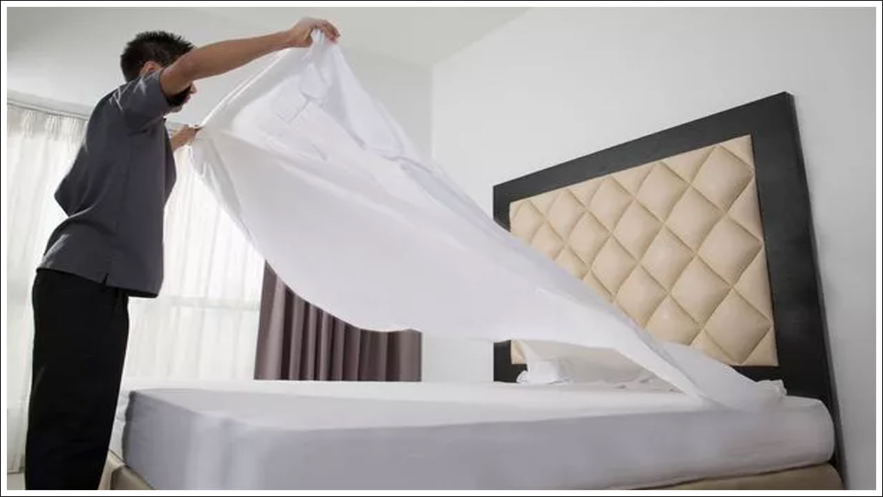 మానసిక ప్రశాంతత కోసమే: అంతే కాకుండా.. తెలుపు రంగు ఒత్తిడిని తగ్గిస్తుంది. చాలా రోజుల ప్రయాణం తర్వాత వారు హోటల్ గదికి చేరుకున్నప్పుడు.. వారు విశ్రాంతి, సౌకర్యాన్ని కోరుకుంటారు. తెల్లటి మంచం వారికి మానసిక ప్రశాంతతను ఇస్తుంది. ఇది వారికి బాగా నిద్రపోవడానికి సహాయపడుతుంది. అలాగే తెల్లటి బెడ్‌షీట్‌ ఉండటం వల్ల రంగులు పోతాయనే భయం కూడా ఉండదు. అన్నింటిని కూడా ఒకేసారి ఉతకవచ్చు. హోటల్ పరిశ్రమలో ఇది లాండ్రీ, నిర్వహణను సులభతరం చేయడంతో పాటు.. చౌకగా చేస్తుంది. అదనంగా, తెల్లటి బెడ్‌షీట్లను బ్లీచింగ్ చేయడం ద్వారా మరకలను సులభంగా తొలగించవచ్చు.