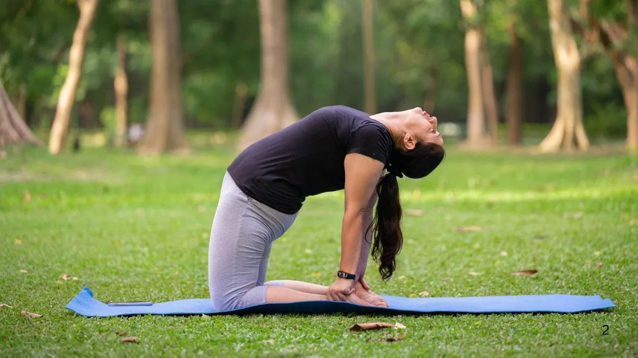 బ్రిడ్జి పోజ్ : ఈ యోగా ఆసనం మహిళలకు కూడా చాలా ప్రయోజనకరంగా ఉంటుంది. ఎందుకంటే ఇది వీపు, నడుము కండరాలను సరళంగా మార్చడమే కాదు కటి ప్రాంతాన్ని కూడా బలపరుస్తుంది. ఈ యోగా ఆసనాన్ని ప్రతిరోజూ సాధన చేయడం వల్ల గర్భాశయం వైపు వెళ్ళే రక్త ప్రసరణ మెరుగుపడుతుంది. ఈ ఆసనం హార్మోన్ల సమతుల్యతను నివారించడానికి కూడా సహాయపడుతుంది.
