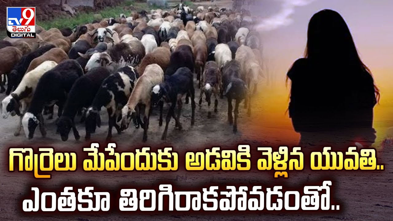 గొర్రెలు మేపేందుకు అడవికి వెళ్లిన యువతి.. ఎంతకూ తిరిగిరాకపోవడంతో..