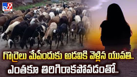 గొర్రెలు మేపేందుకు అడవికి వెళ్లిన యువతి.. ఎంతకూ తిరిగిరాకపోవడంతో గొర్రెలు మేపేందుకు అడవికి వెళ్లిన యువతి.. ఎంతకూ తిరిగిరాకపోవడంతో