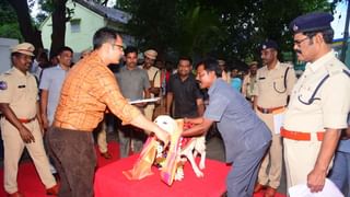 Banana Facts: అన్ని పండ్లు గుండ్రంగా.. అరటిపండు మాత్రం వంకరగా ఎందుకుంటుంది?