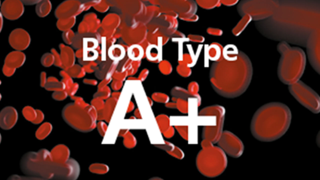 A Group Blood