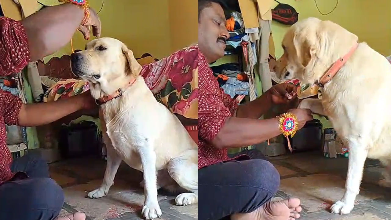 వినూత్న వేడుక.. పెంపుడు కుక్కకు రాఖీ కట్టి ప్రేమానుబంధాన్ని చాటిన జంతు ప్రేమికుడు!