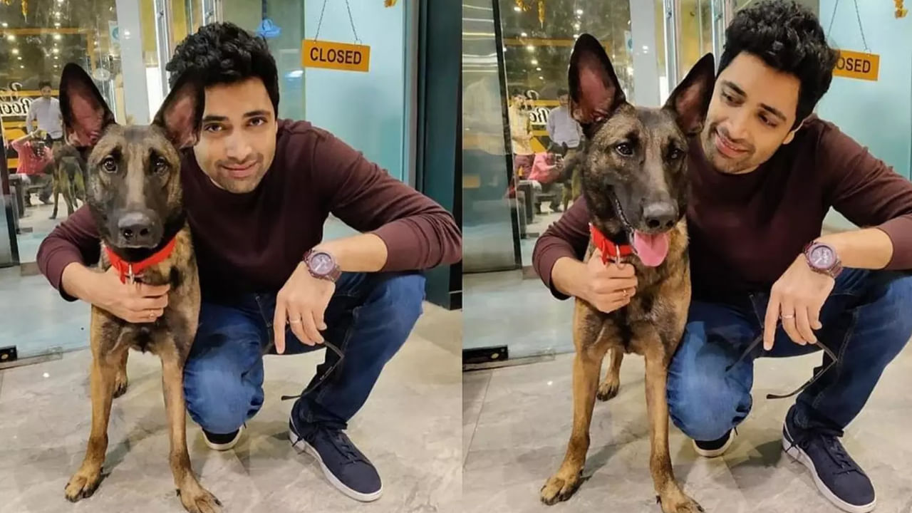 Adivi Sesh: వీధి కుక్కలపై సుప్రీం సంచలన ఆదేశాలు.. సీజేఐకి లేఖ రాసిన టాలీవుడ్ హీరో అడివి శేష్