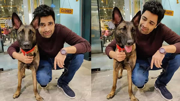 Adivi Sesh: వీధి కుక్కలపై సుప్రీం సంచలన ఆదేశాలు.. సీజేఐకి లేఖ రాసిన టాలీవుడ్ హీరో అడివి శేష్