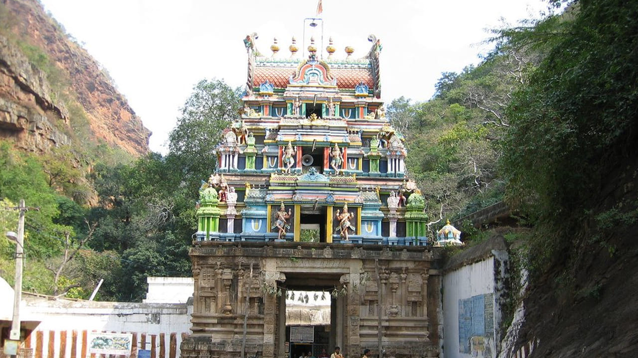 నరసింహ స్వామి ఆలయం, అహోబిలం ఆలయం: నంద్యాల జిల్లాలో ఉన్న ఈ ఆలయం నరసింహ స్వామికి అంకితం చేయబడింది. ఇది అందమైన పరిసరాలకు, హిందూ పురాణాలలో ప్రాముఖ్యతకు ప్రసిద్ధి చెందింది. కృష్ణాష్టమి రోజున ఈ దేవాలయాన్ని దర్శించడం శుభప్రదంగా భావిస్తారు. 