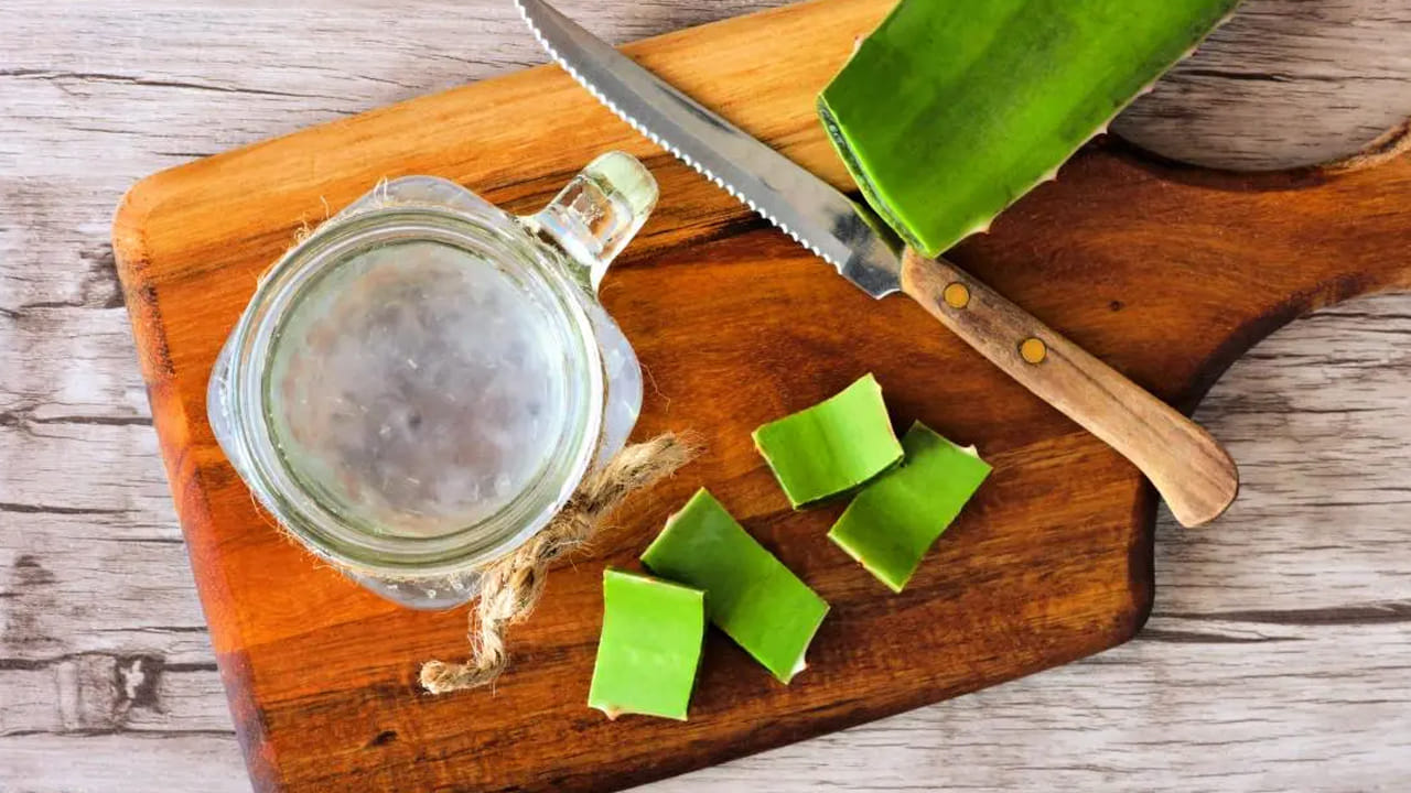 కొంతమందికి అలోవెరా జ్యూస్ కడుపులో మంట, అతిసారం వంటి జీర్ణ సమస్యలను కలిగిస్తుంది. గర్భవతులు, పాలిచ్చే తల్లులు అలోవెరా జ్యూస్ తాగే ముందు వైద్యుడిని సంప్రదించాలి. లేదంటే మీరు సమస్యల్లో పడాల్సి వస్తుందని అంటున్నారు నిపుణులు.