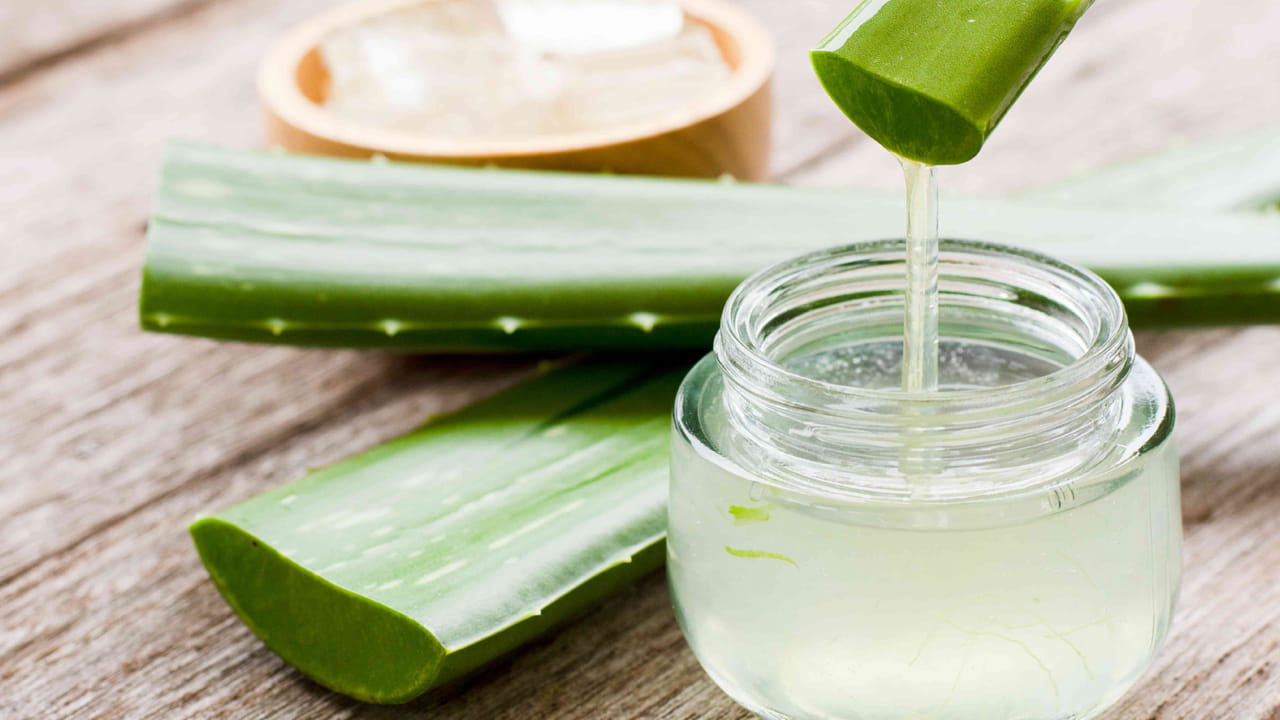 మధుమేహం బాధితులు ఉదయాన్నే ఖాళీ కడుపుతో కలబంద జ్యూస్‌ తాగితే మంచిదని నిపుణులు చెబుతున్నారు. కలబందలో సహజంగా రక్తంలో గ్లూకోజ్ స్థాయిలను తగ్గించే యాంటీ డయాబెటిక్ లక్షణాలను కలిగి ఉంటాయి. రక్తంలో చక్కెర శాతాన్ని తగ్గించడమేకాక మధుమేహాన్ని అదుపులో ఉంచుతుంది. ఈ జ్యూస్‌ తాగేముంపు డాక్టర్‌ను సంప్రదించడం మేలు.