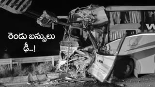 ఇంట్లో నిద్ర పోతున్న చిన్నారిని నోట కరచుకున్న చిరుత.. ఆ తర్వాత ఏం జరిగిందంటే?