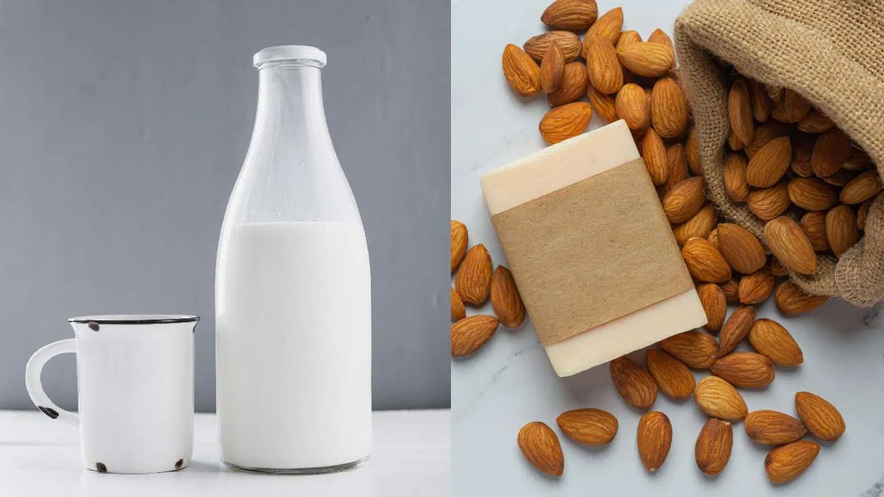 బాదం పాలు కేవలం రుచికరమైన పానీయం మాత్రమే కాదు.. అది ఆరోగ్యానికి కూడా చాలా మేలు చేస్తుంది. బాదం పప్పులో ఉండే విటమిన్లు, ఫైబర్, ప్రోటీన్, ఆరోగ్యకరమైన కొవ్వులు, మెగ్నీషియం, విటమిన్ ఇ, ఒమేగా 3 కొవ్వు ఆమ్లాలు వంటి పోషకాలు నేరుగా బాదం పప్పును తినడం కంటే, బాదం పాలుగా తీసుకుంటే శరీరానికి మరింత సులభంగా అందుతాయి.