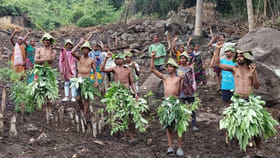 తలపై అడ్డాకులు.. భుజాలపై డోలీలు.. అడవి బిడ్డల వినూత్న నిరసన!