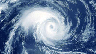 Vizag: ఈ పువ్వు చూడ్డానికి భిన్నంగా, వింతగా ఉంది కదా.. కానీ దాని వాసన..