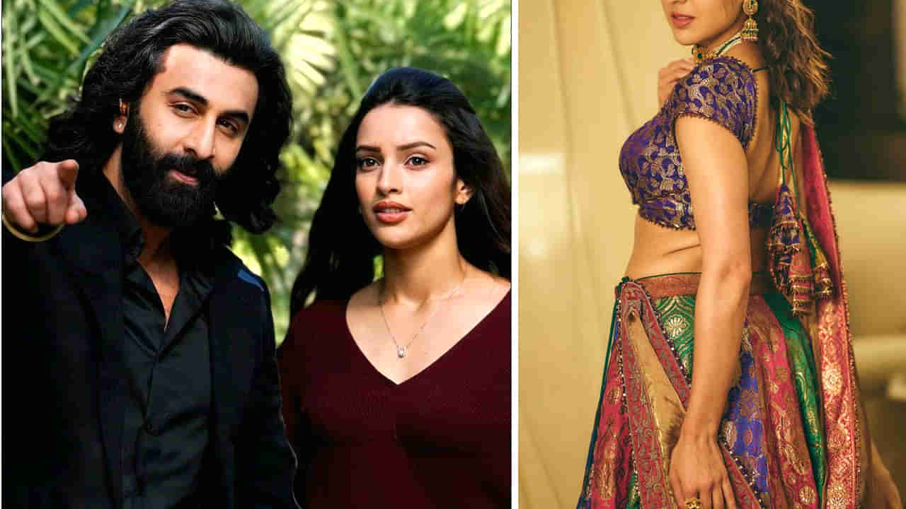 Animal Movie: ఎంత పని చేశావ్ అమ్మడు.. యానిమల్ సినిమాలో జోయా పాత్ర మిస్ చేసుకున్న హీరోయిన్.. ఎవరంటే..