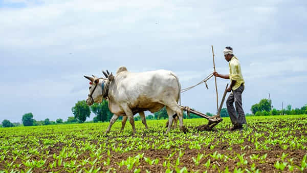 Andhra Pradesh: ఏపీ రైతులకు ప్రభుత్వం గుడ్న్యూస్.. వీటిపై 75 శాతం రాయితీ!