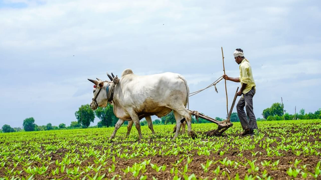 Andhra Pradesh: ఏపీ రైతులకు ప్రభుత్వం గుడ్‌న్యూస్‌.. వీటిపై 75 శాతం రాయితీ!