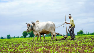 ప్రేమించి పెళ్లి చేసుకున్నారు.. జీవితాంతం సంతోశంగా ఉందామనుకున్నారు.. అంతలోనే..