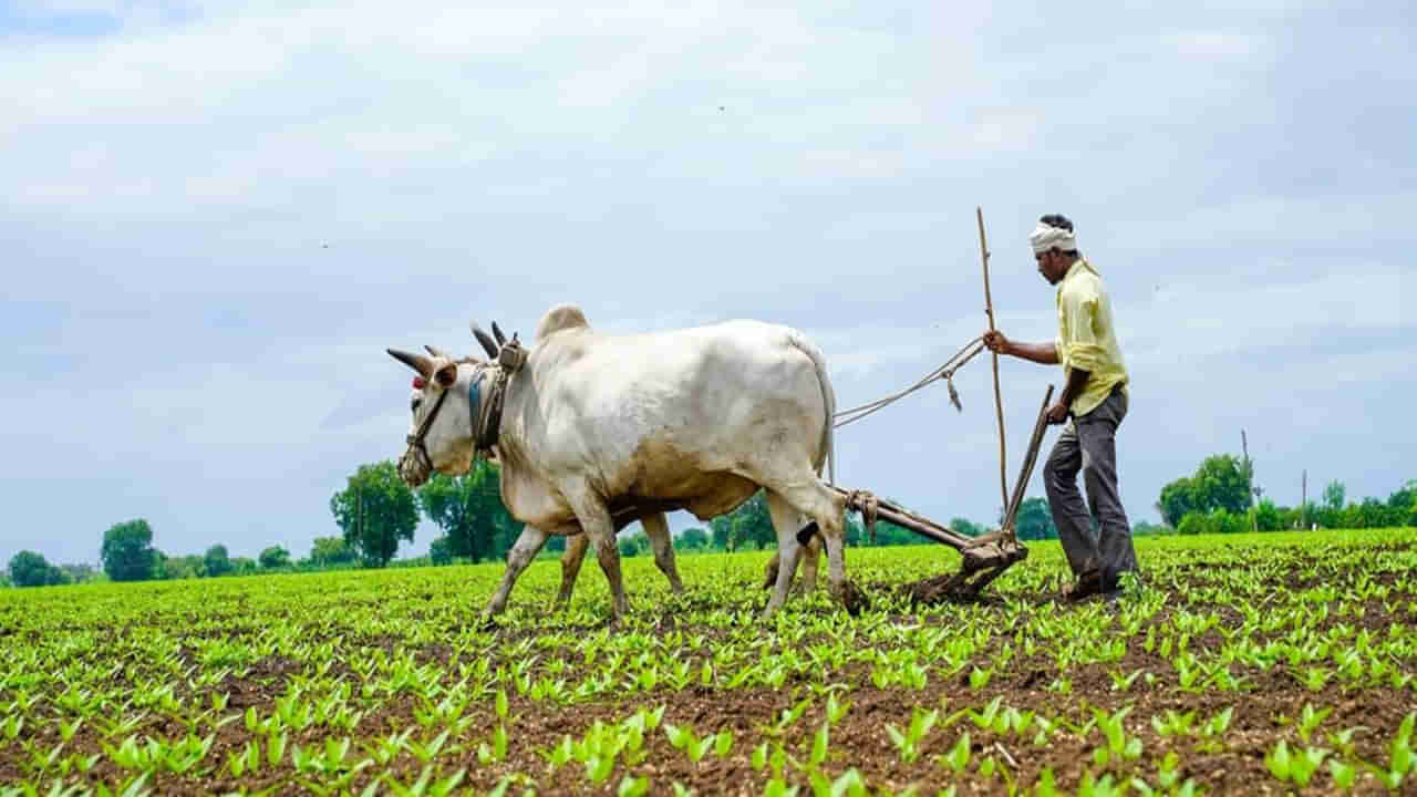 Andhra Pradesh: రైతులకు గుడ్ న్యూస్.. పట్టా పాస్ బుక్ లేకున్నా లోన్స్.. ఆ భయాలు వద్దన్న మంత్రి..