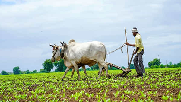 Andhra Pradesh: రైతులకు గుడ్ న్యూస్.. పట్టా పాస్ బుక్ లేకున్నా లోన్స్.. ఆ భయాలు వద్దన్న మంత్రి..