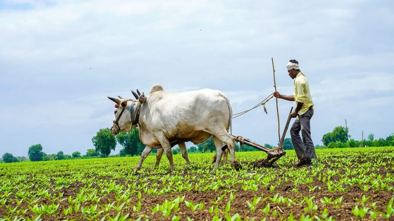 Andhra Pradesh: రైతులకు గుడ్ న్యూస్.. పట్టా పాస్ బుక్ లేకున్నా లోన్స్.. ఆ భయాలు వద్దన్న మంత్రి..