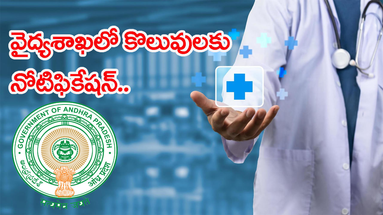 AP Job Notification 2025: వైద్యారోగ్యశాఖలో ఉద్యోగాల భర్తీకి నోటిఫికేషన్‌ విడుదల.. మొత్తం ఎన్ని పోస్టులంటే? – Telugu News | AP Medical and Health Department released Recruitment 2025 Notification for 185 doctor Posts