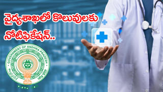 IB Job Notification 2025: ఇంటలిజెన్స్ బ్యూరోలో ఉద్యోగాలకు నోటిఫికేషన్‌ విడుదల.. డిగ్రీ పాసైతే చాలు!