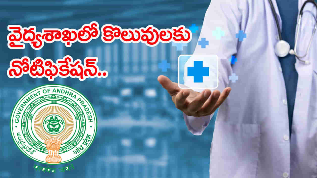 AP Job Notification 2025: వైద్యారోగ్యశాఖలో ఉద్యోగాల భర్తీకి నోటిఫికేషన్ విడుదల.. మొత్తం ఎన్ని పోస్టులంటే?
