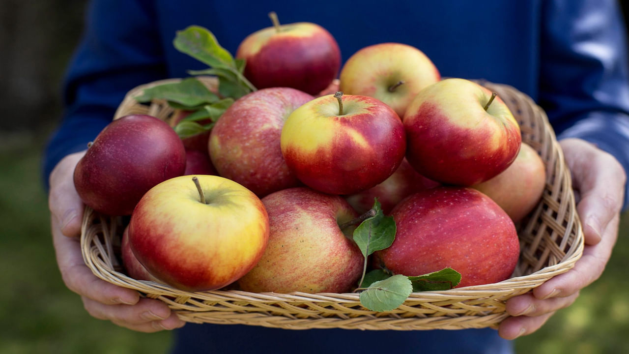 Apple