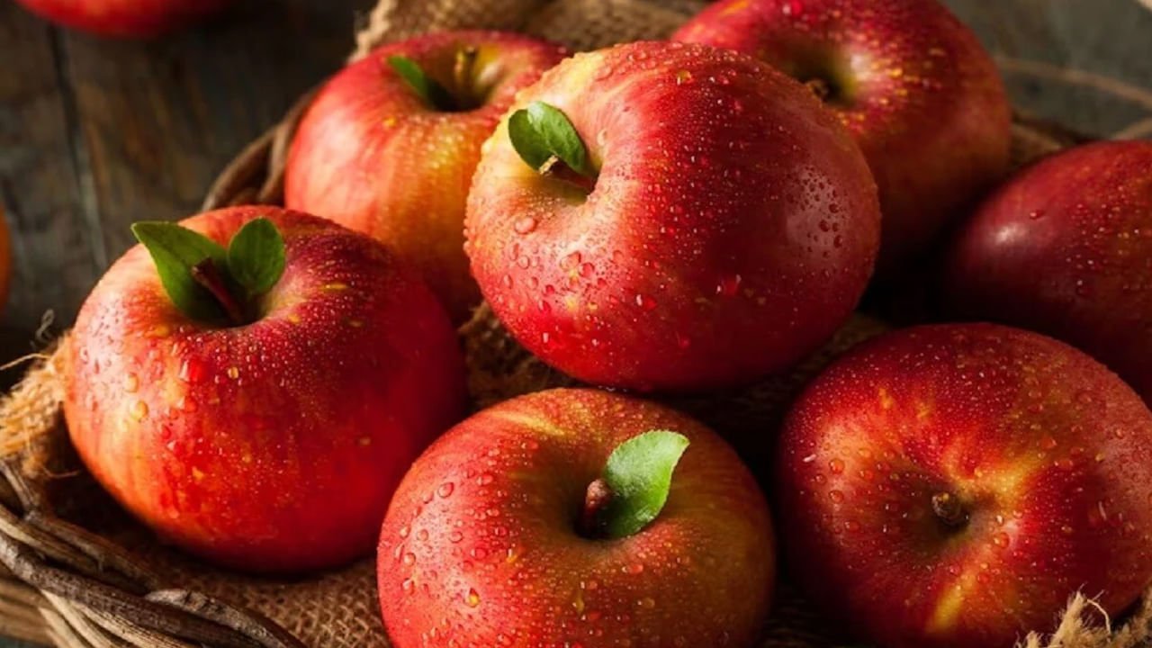 ఇవి ప్రతి సీజన్లోనూ ఆపిల్స్ దొరుకుతాయి. వీటిని కొంత మంది ఆపిల్ జ్యూస్ చేసుకొని తీసుకుంటే, మరికొంత మంది, పచ్చిగా, ఆపిల్ జామ్లా తీసుకుంటూ ఉంటారు. అయితే ఆపిల్ ఎలా తిన్నా కూడా ఆరోగ్యానికి మంచిదే అని చెబుతుంటారు ఆరోగ్య నిపుణులు. అయితే ఆపిల్ తిన్న వెంటనే కొంత మంది ఆహారం తీసుకుంటారు. కానీ ఇది అస్సలే మంచిది కాదంట. కాగా, ఇప్పుడు మనం ఆపిల్ తిన్న తర్వాత ఎంత సేపటికి ఆహఆరం తీసుకోవాలో చూద్దాం.