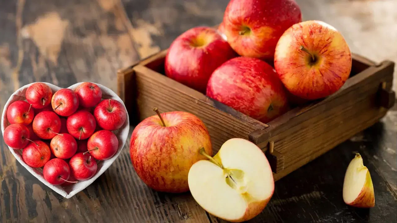 ఎందుకంటే? డయాబెటీస్ రోగులు భోజనం చేసిన వెంటనే ఆహారం తీసుకోవడం వలన అనేక సమస్యలు కొనితెచ్చుకున్నట్లేనంట. అందుకే వీరు ఆపిల్ తిన్న మూడు గంటల తర్వాత ఆహారం తీసుకోవాలంట. లేకపోతే జీర్ణ సమస్యలు రావడం ఖాయం అంటున్నారు ఆరోగ్య నిపుణులు. ఎందుకంటే ఆహారం కంటే కాస్త ముందు లేదా తర్వాత పండ్లు తీసుకోవడం వలన ఇవి శరీరానికి చాలా మేలు చేస్తాయంట.