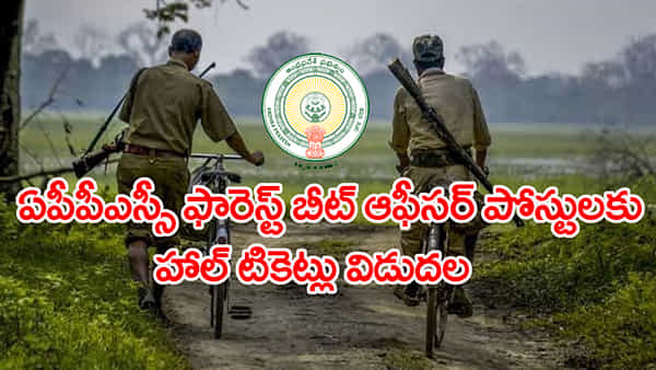 APPSC FBO Hall Tickets 2025: ఏపీపీఎస్సీ ఫారెస్ట్ బీట్, సెక్షన్ ఆఫీసర్ పోస్టులకు అడ్మిట్ కార్డులు విడుదల.. డైరెక్ట్ లింక్ ఇదే