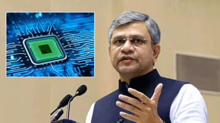 Snail Attack: రాత్రికి రాత్రే పంట మాయం చేసే నత్తలు.. వీటి బెడద తగ్గాలంటే ఇలా చేయండి..