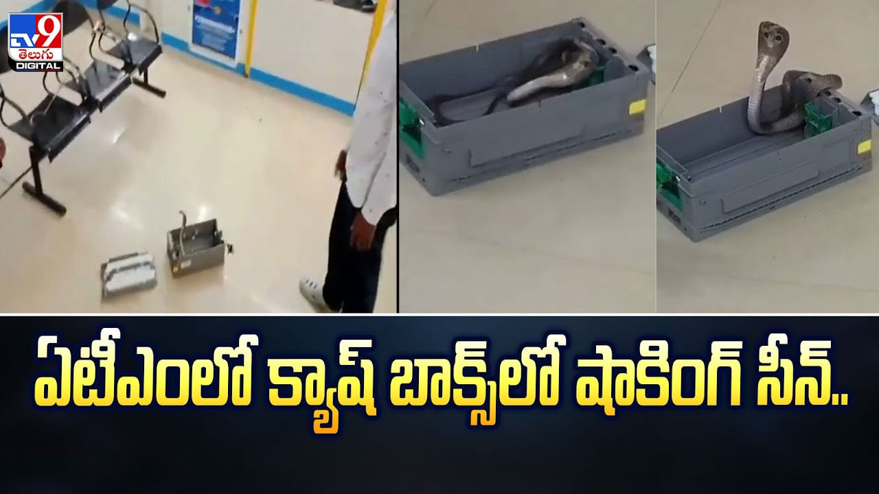 ఏటీఎంలో మనీ కాదండోయ్ బుసలు కొట్టే నాగుపాము.. వీడియో చూస్తే వణకాల్సిందే !