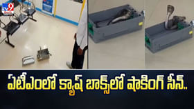 ఏటీఎంలో మనీ కాదండోయ్ బుసలు కొట్టే నాగుపాము.. వీడియో ఏటీఎంలో మనీ కాదండోయ్ బుసలు కొట్టే నాగుపాము.. వీడియో