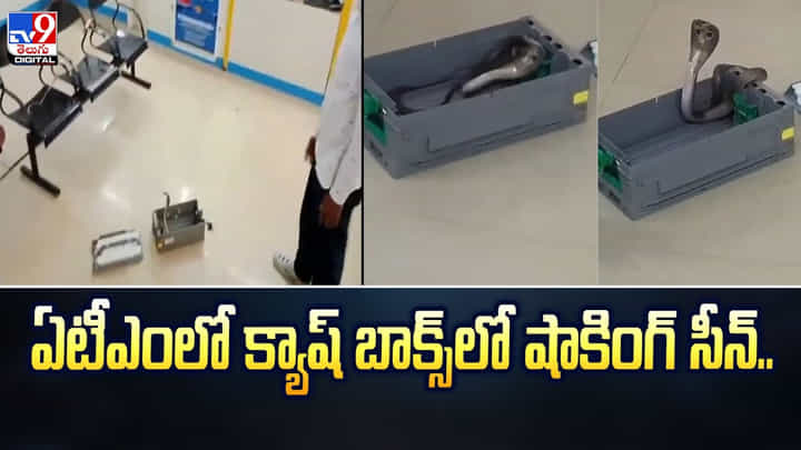ఏటీఎంలో మనీ కాదండోయ్ బుసలు కొట్టే నాగుపాము.. వీడియో చూస్తే వణకాల్సిందే ! ఏటీఎంలో మనీ కాదండోయ్ బుసలు కొట్టే నాగుపాము.. వీడియో చూస్తే వణకాల్సిందే !