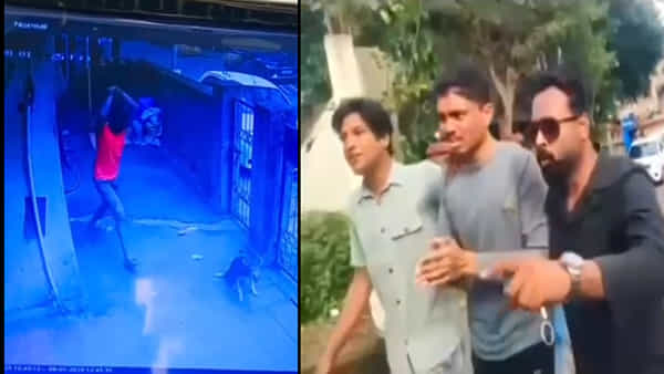 Watch: దారుణం.. కుక్కపై విచక్షణారహితంగా దాడి.. యువకుడిని చితకబాదిన స్థానికులు.. వీడియో వైరల్