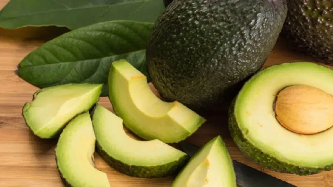 Avocado 2