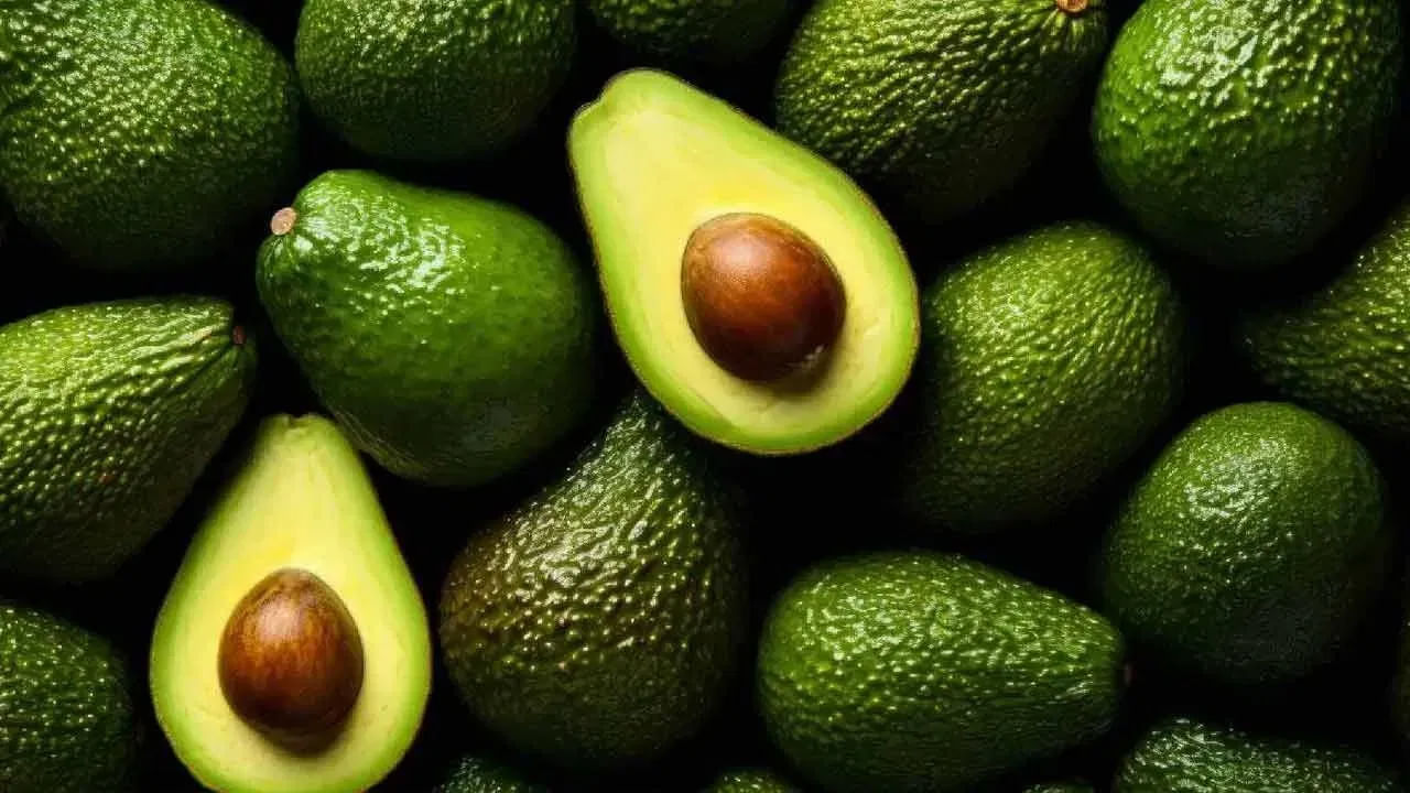 Avocado 3