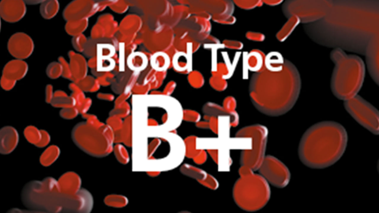 B Group Blood