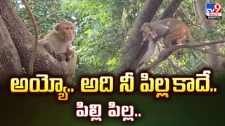 Telangana: రాష్ట్రవ్యాప్తంగా ఏసీబీ స్పెషల్ డ్రైవ్.. వణికిపోతున్న లంచగొండి అధికారులు!