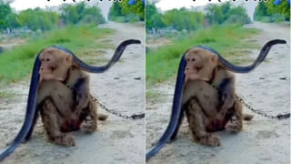 Video: ఎయిర్‌పోర్ట్‌లో సిబ్బందిపై ఆర్మీ అధికారి దాడి..! గొడవకు కారణం ఏంటంటే..?