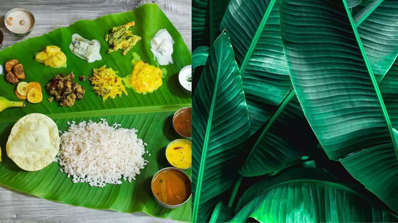 Banana Leaf