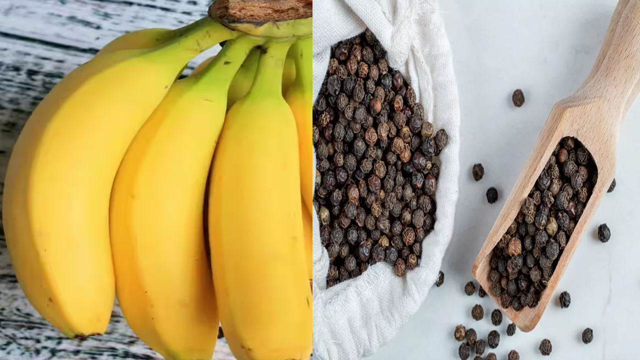 బరువు నియంత్రణ: బరువు తగ్గాలనుకునే వారికి ఇది బెస్ట్ సొల్యూషన్. అరటిపండు శరీరానికి శక్తిని ఇస్తుంది. పెప్పర్ జీవక్రియను వేగవంతం చేస్తుంది. శరీరంలోని కొవ్వును వేగంగా కరిగిస్తుంది. ఈ రెండింటినీ కలిపి తినటం వల్ల ఎక్కువ కాలం ఆకలికి దూరంగా ఉంచుతుంది. ఇది బరువు నియంత్రణలో సహాయపడుతుంది.