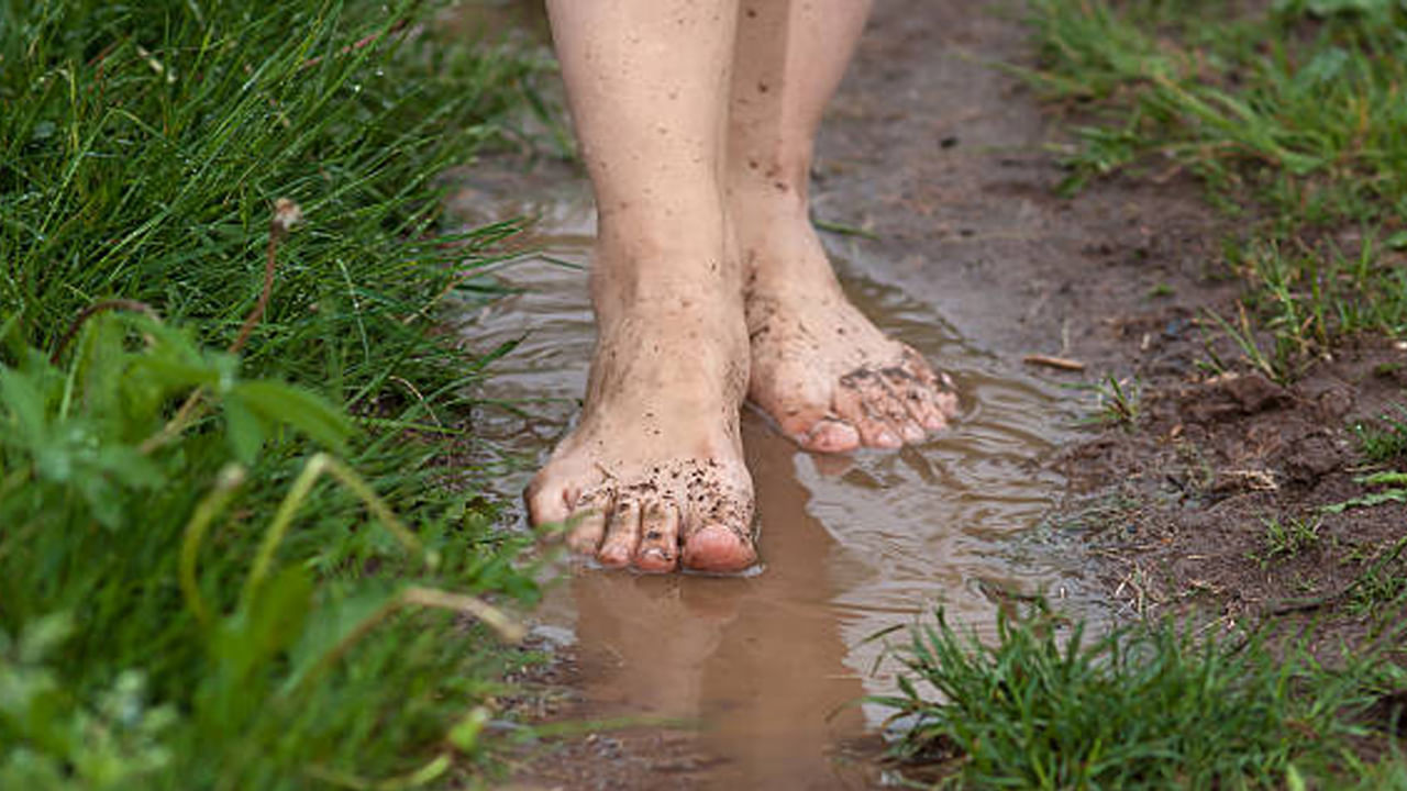 వర్షం నీరు పాదాల గోర్లలో చేరితే ఎంత హానికరమో తెలుసా? వర్షం కురవడం వల్ల చాలా చోట్ల బురదతో నిండిపోయింది. అవి పాదాలకు అంటుకుంటే తీవ్ర నష్టం కలిగిస్తాయి. నీరు, బురద వల్ల గోళ్లకు ఫంగల్ ఇన్ఫెక్షన్లు వస్తాయి. అందుకే వర్షాకాలంలో పాదాలను సరిగ్గా శుభ్రం చేయకపోవడం వల్ల ఎవరికైనా ఈ సమస్యలు వస్తాయి. గోళ్ల మూలల్లో మురికి పేరుకుపోయి ఫంగల్ ఇన్ఫెక్షన్‌కు దారి తీస్తాయి.