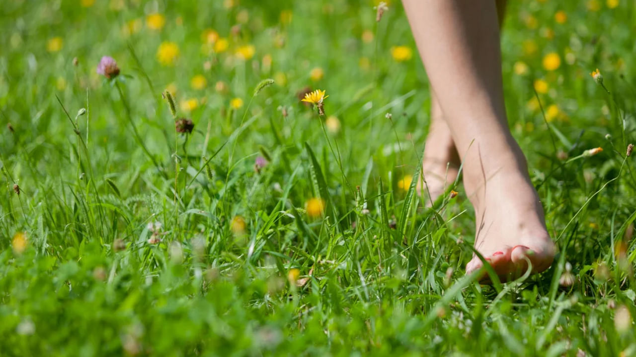 కాళ్ళలోని కండరాలు బలంగా ఉన్నప్పుడు అవి అందంగా కనిపిస్తాయి. అయితే ఇలా మన కాళల్లోని కండరాలు బలంగా ఉండాలంటే రోజు కొద్దిసేపు చెప్పులు లేకుండా నేల, గడ్డిపై నడవడం మంచిదని నిపుణులు చెబుతున్నారు.