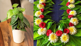 Vinayaka Chavithi: హైటెక్ బొజ్జ గణపయ్య.. ఫోన్‌లో భక్తుల చింతలు విని చింతలు తీర్చే చింతామణి గణేష్..