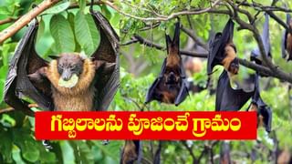 Vinayaka Chavithi: వినాయక చవితి పర్యావరణ అనుకూలంగా లోహ విగ్రహాలతో జరుపుకోండి.. ఏ లోహానికి ఏ విశిష్టిత అంటే