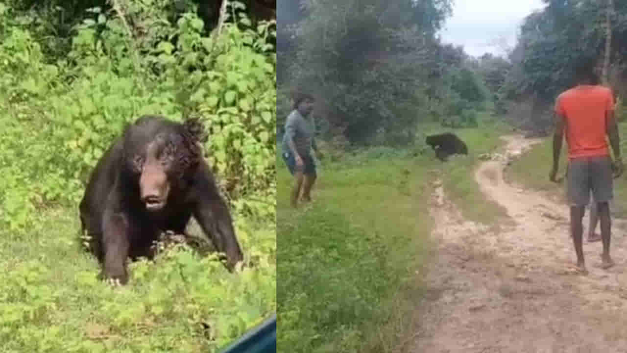 Watch Video: అయ్యో.. తండ్రిపై ఎటాక్ చేసిన ఎలుగుబంటి.. కాపాడేందుకు వెళ్లిన కొడుకు.. ఆ తర్వాత జరిగిందిదే..