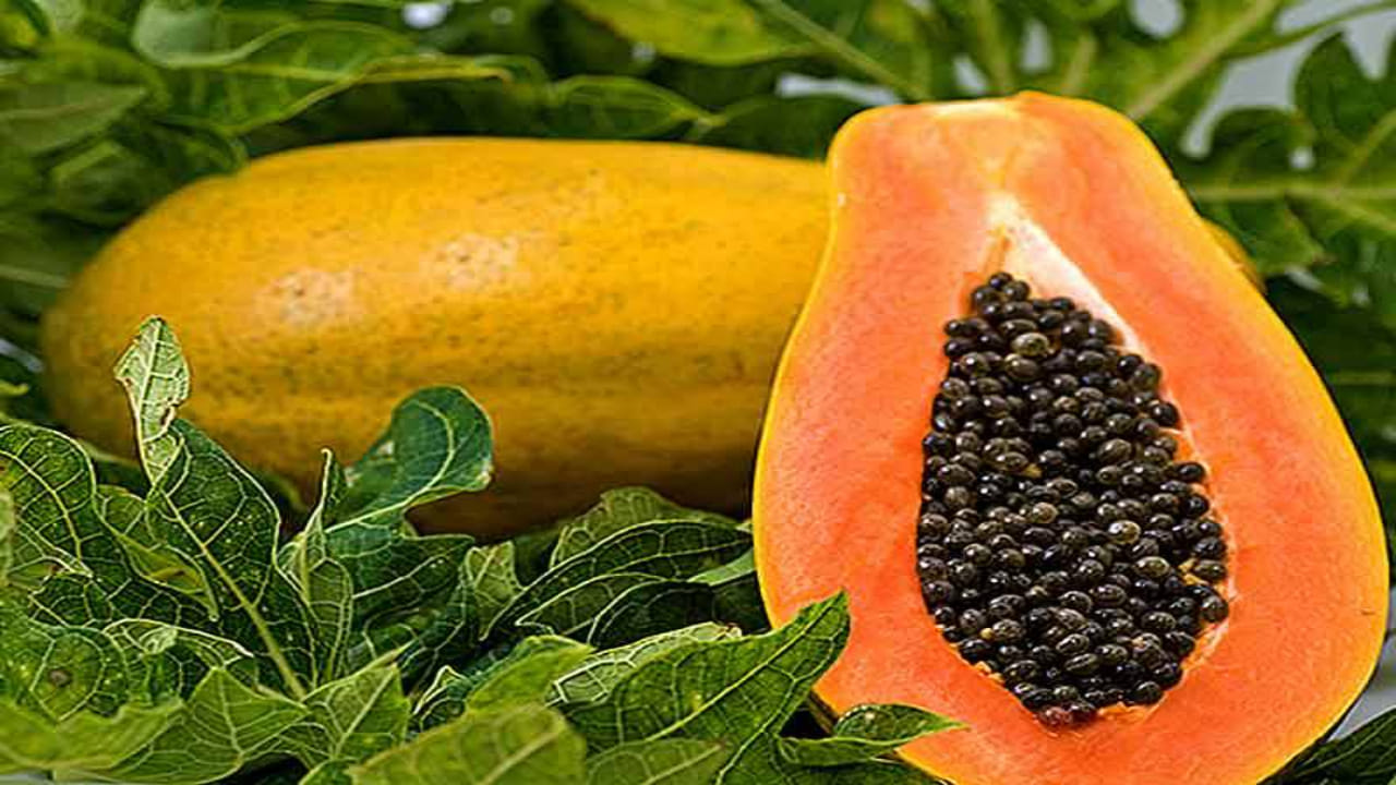 Papaya Benefits: పీరియడ్స్లో బొప్పాయి తినవచ్చా? నిపుణులు ఏం చెబుతున్నారు?