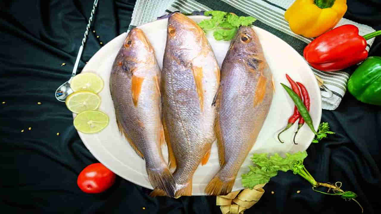 ఇదో అరుదైన చేప.. రెగ్యూలర్గా తింటే బీపీ, షుగర్ ఇట్టే పరార్..! దొరుకుడు మహా కష్టం..